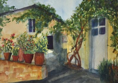 Looking in the Garden